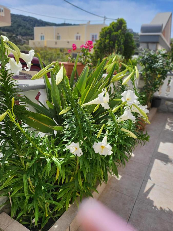 Roumeliotis House Apartment Karpathos Ngoại thất bức ảnh